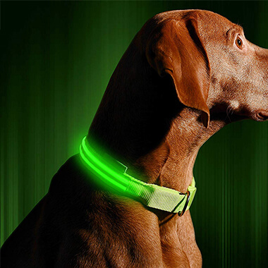 Reflective led dog collar 3