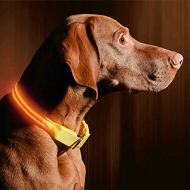 Reflective led dog collar 5